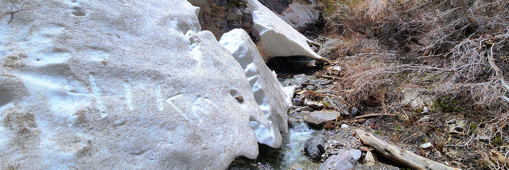 Water Emerging from Beneath Snowdrifts | Fletcher Canyon Trail | Mt Charleston Wilderness | Spring Mountains, Nevada