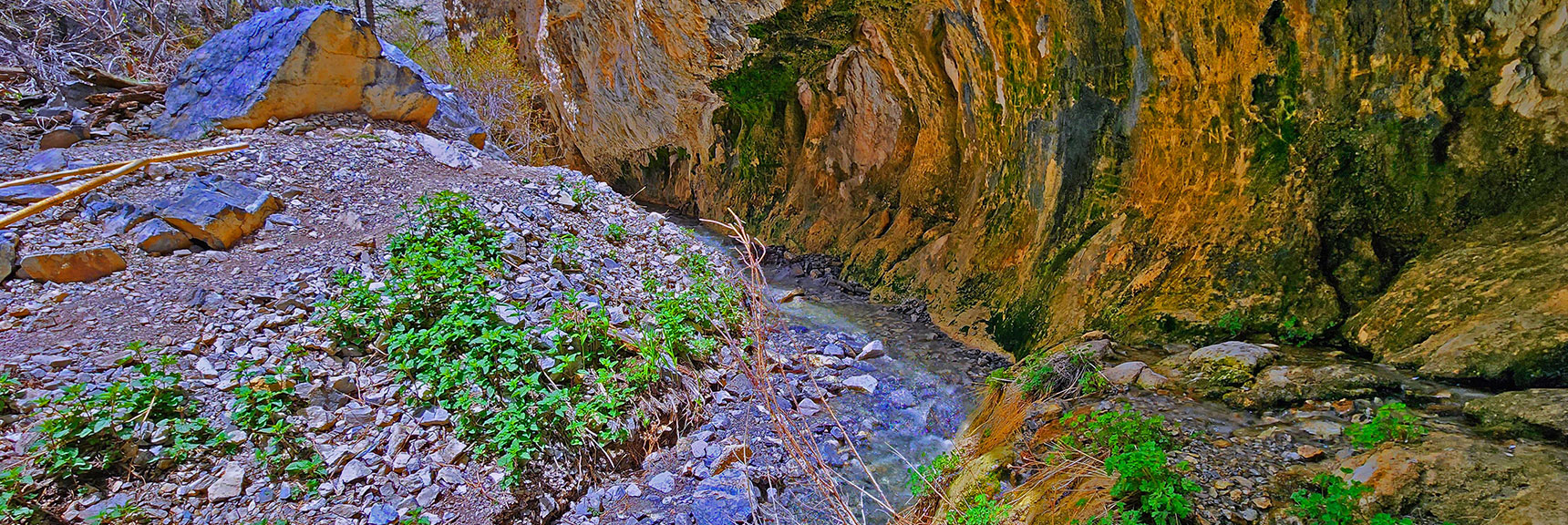 Creek Passes Through a Beautiful Limestone Cove | Fletcher Canyon Trail | Mt Charleston Wilderness | Spring Mountains, Nevada