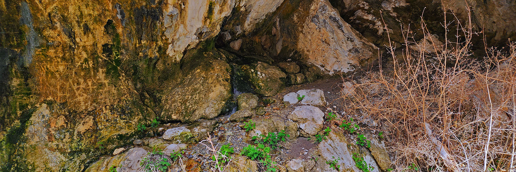 Water Emerging from Many Openings in the Porous Limestone | Fletcher Canyon Trail | Mt Charleston Wilderness | Spring Mountains, Nevada