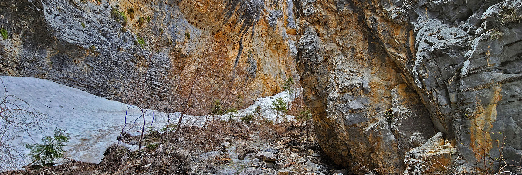 The Canyon Further Narrows, Walls Rising Vertically on Either Side | Fletcher Canyon Trail | Mt Charleston Wilderness | Spring Mountains, Nevada