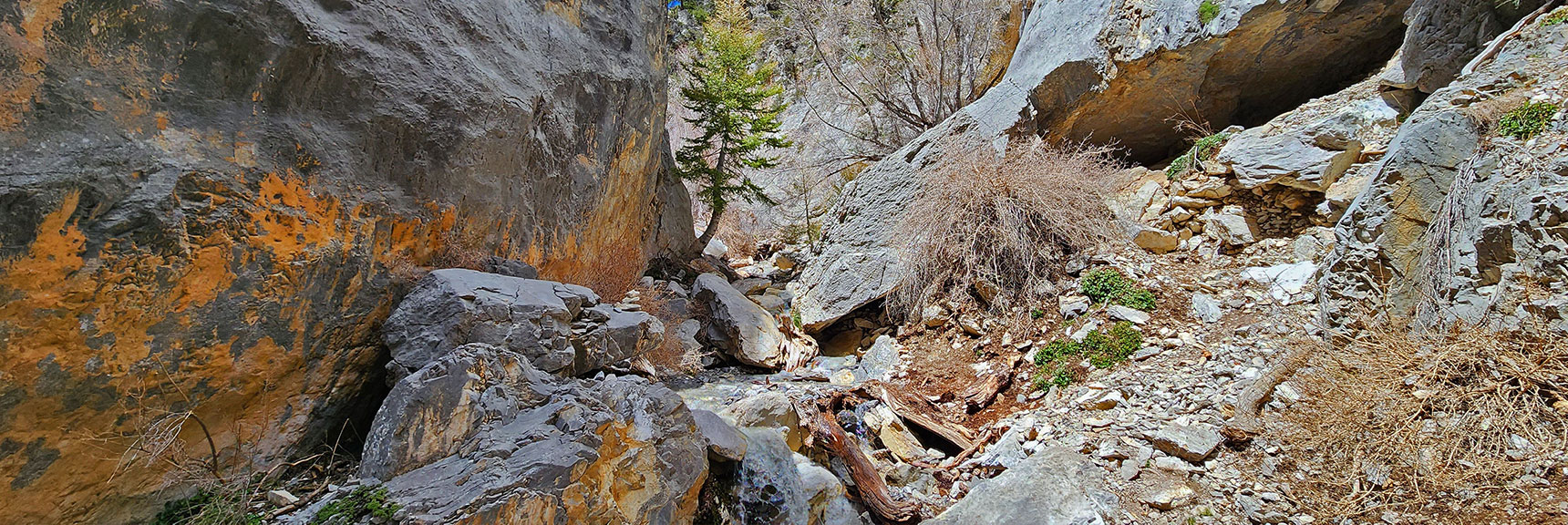 Boulders and Other Obstacles Getting Larger. Cairns Begin to Mark the Way. | Fletcher Canyon Trail | Mt Charleston Wilderness | Spring Mountains, Nevada
