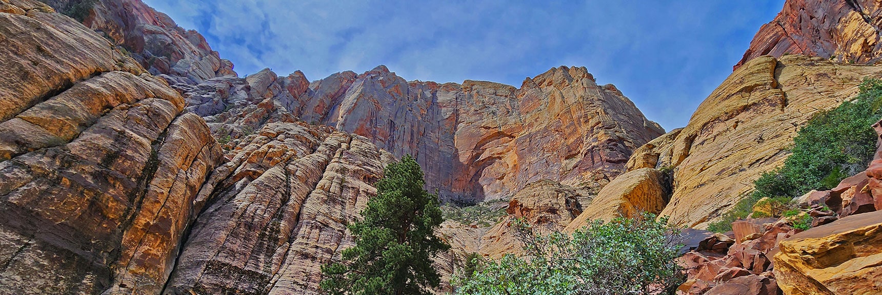Rainbow Wall from Juniper Canyon Summit | Juniper Canyon | Red Rock Canyon National Conservation Area, Nevada | David Smith | LasVegasAreaTrails.com