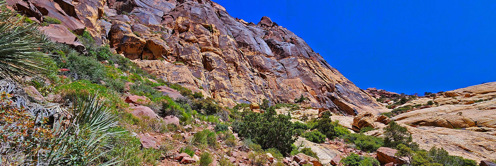 My Goal: Continue Above Sandstone Ledge, Look to Reconnect with Summit Route | Juniper Peak Summit | Rainbow Mountain Wilderness, Nevada | David Smith, LasVegasAreaTrails.com