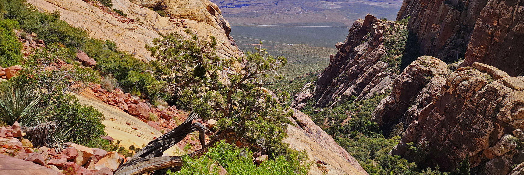 View Back to Sandstone Ledge, Drop-Off and Juniper Canyon Opening | Juniper Peak Summit | Rainbow Mountain Wilderness, Nevada | David Smith, LasVegasAreaTrails.com