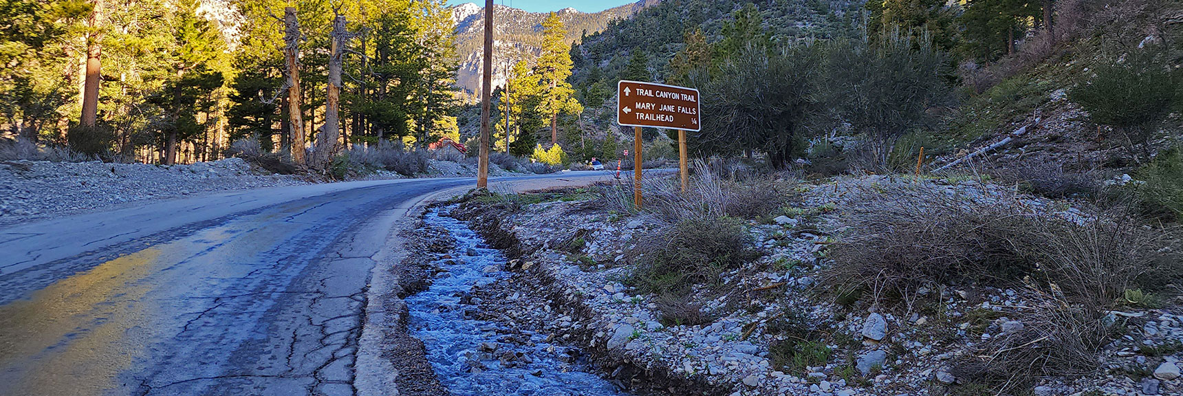 Approaching the Trailhead, Spring Runoff is Already Visible | Mary Jane Falls | Mt. Charleston Wilderness | Spring Mountains, Nevada
