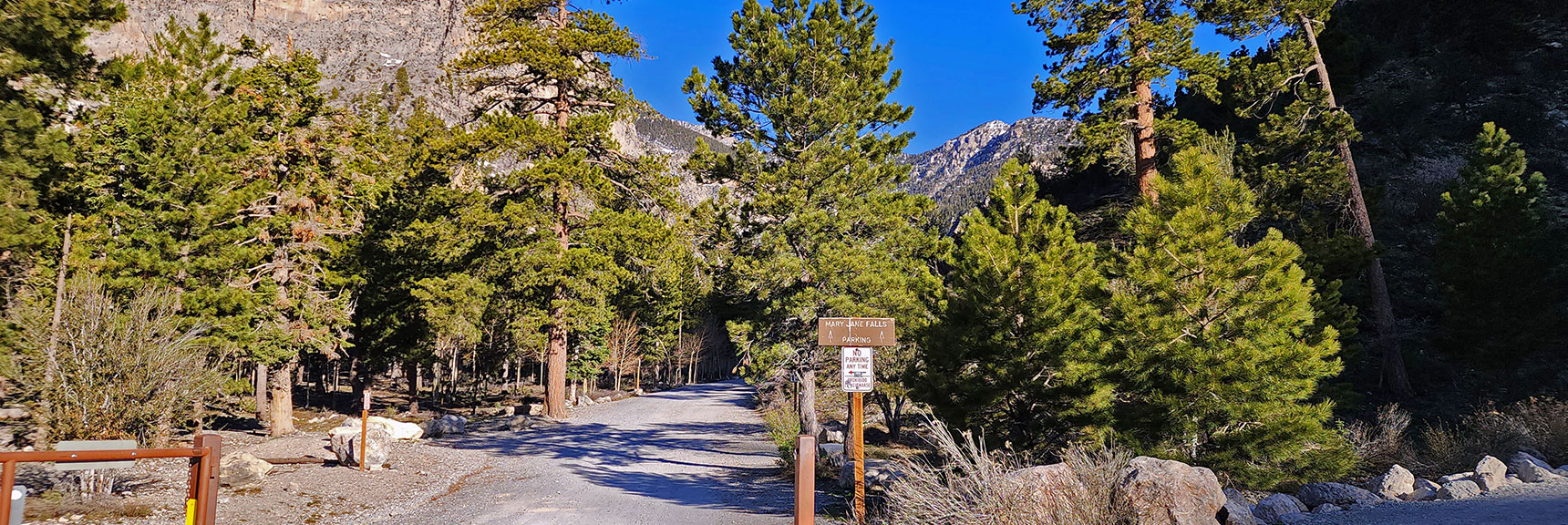 1000ft Unpaved Road from Trail Canyon Trailhead to Mary Jane Falls Trailhead | Mary Jane Falls | Mt. Charleston Wilderness | Spring Mountains, Nevada