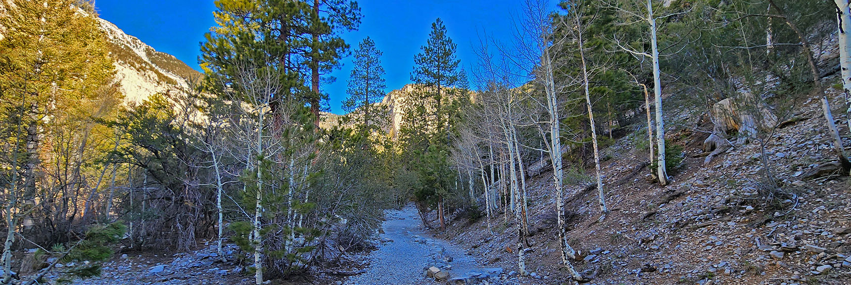 Begin Gradual Ascent on Wide Trail Through Beautiful Canyon | Mary Jane Falls | Mt. Charleston Wilderness | Spring Mountains, Nevada