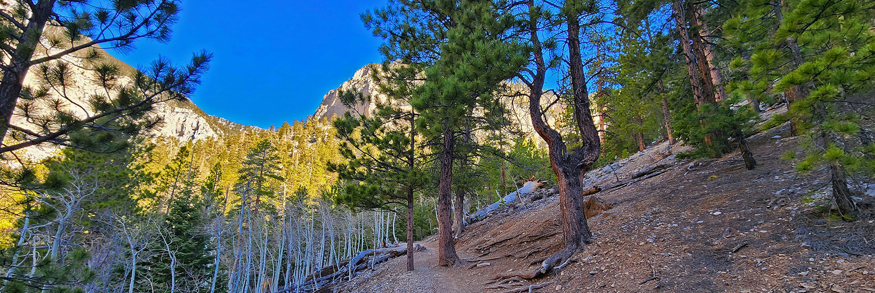 Sound Like Faint Wind...It's the Falls Ahead | Mary Jane Falls | Mt. Charleston Wilderness | Spring Mountains, Nevada