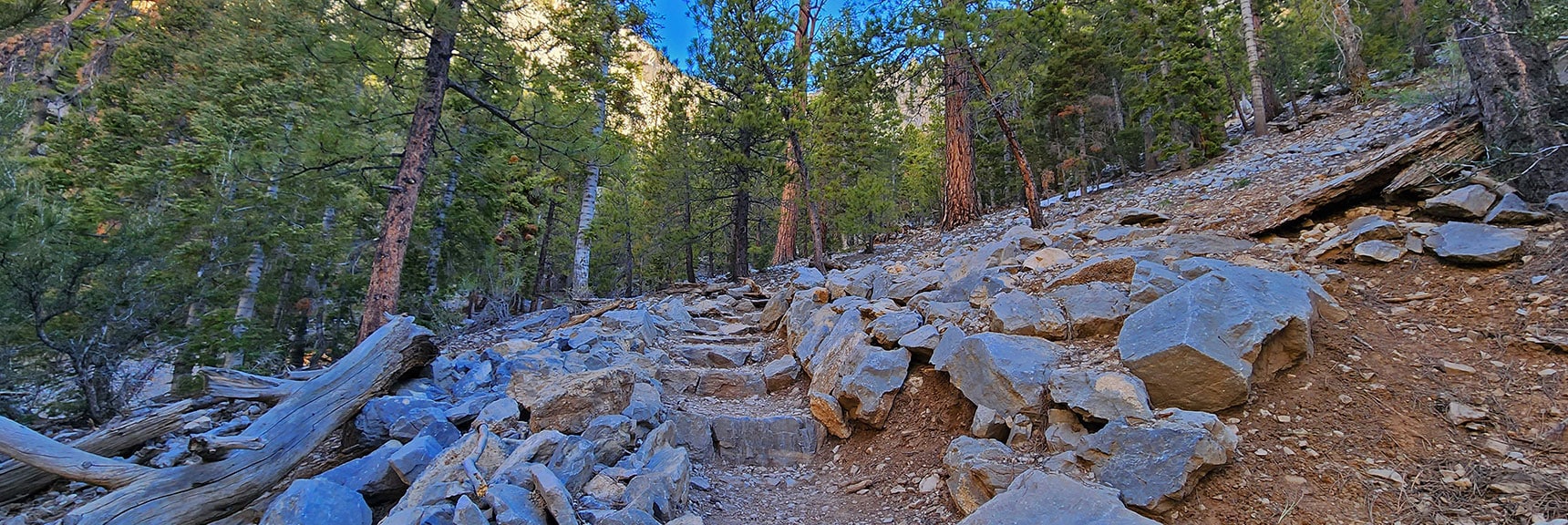 Artfully, Well Constructed Trail Aided by Stone Stairways | Mary Jane Falls | Mt. Charleston Wilderness | Spring Mountains, Nevada