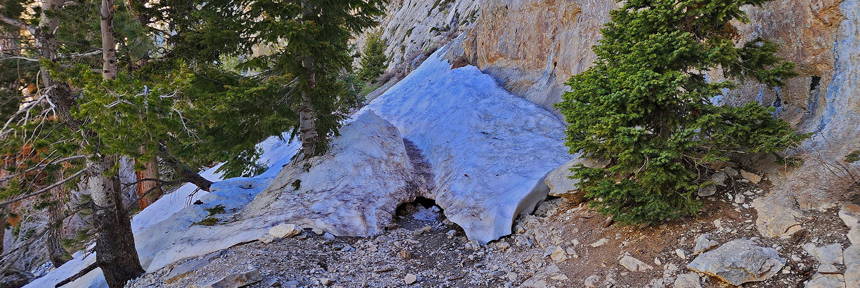 Snowdrifts Remain on Trail This Early May Day | Mary Jane Falls | Mt. Charleston Wilderness | Spring Mountains, Nevada
