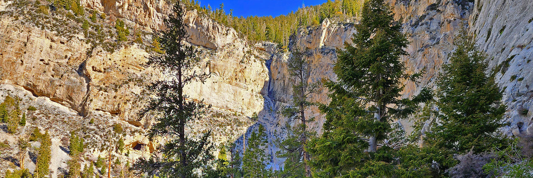 First View of the Falls. Sound Increasing in Volume. Heavy Winter Snowmelt | Mary Jane Falls | Mt. Charleston Wilderness | Spring Mountains, Nevada