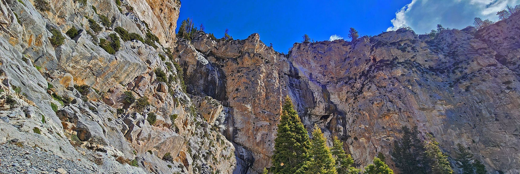 Falls Viewed from Near the Cave | Mary Jane Falls | Mt. Charleston Wilderness | Spring Mountains, Nevada