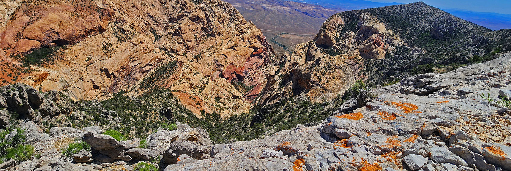 View Down Into First Creek Canyon | Mt Wilson to Hidden Peak | Upper Crest Ridgeline | Rainbow Mountain Wilderness, Nevada