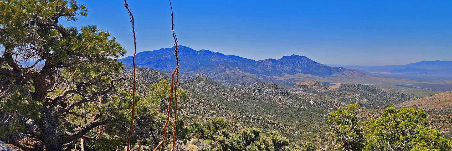 View South Above Ridgeline to Potosi Mt. | Mt Wilson to Hidden Peak | Upper Crest Ridgeline | Rainbow Mountain Wilderness, Nevada