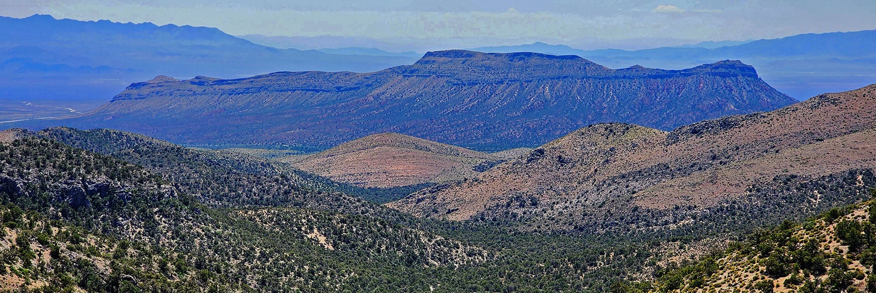 Large View of Landmark Bluff Down Across Lovell Canyon. Path of Descent Canyon | Mt Wilson to Hidden Peak | Upper Crest Ridgeline | Rainbow Mountain Wilderness, Nevada