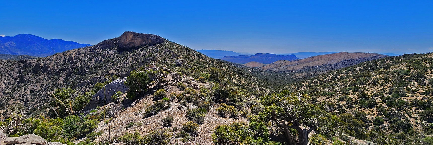 Next Ridgeline Stretch South. Note Lovell Canyon Start Point Landmark Bluff | Mt Wilson to Hidden Peak | Upper Crest Ridgeline | Rainbow Mountain Wilderness, Nevada