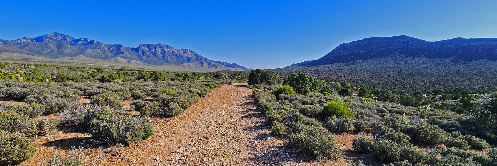 Roads Begin to Appear Less Than 1/4th Mile from Start/End Point | Mt Wilson to Hidden Peak | Upper Crest Ridgeline | Rainbow Mountain Wilderness, Nevada
