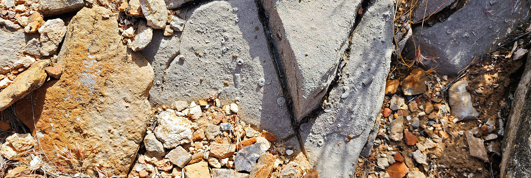 Ancient Sea Fossils Begin to Appear Embedded in the Elevated Limestone Sea Floor | Juniper Peak to Mt. Wilson | Rainbow Mountains Upper Crest Ridgeline, Nevada