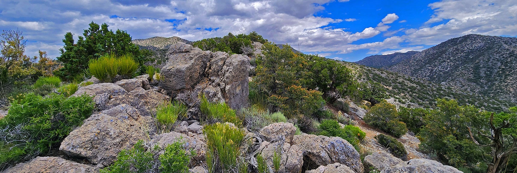 Beautiful Upper Mountain Terrain at 6,300ft. Limestone, Yucca, Pine, Juniper, Sage... | Juniper Peak to Mt. Wilson | Rainbow Mountains Upper Crest Ridgeline, Nevada