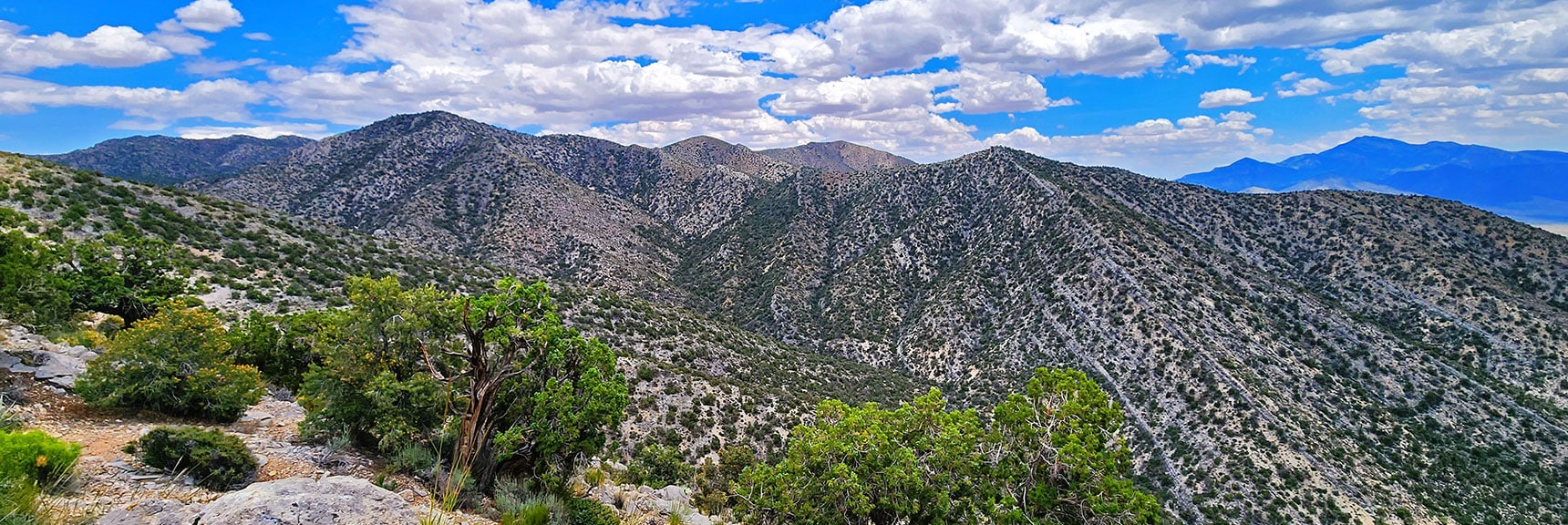 View to South Approach Ridge. Breaks Up a Bit Before Upper Ridgeline, But Looks Passable. | Juniper Peak to Mt. Wilson | Rainbow Mountains Upper Crest Ridgeline, Nevada
