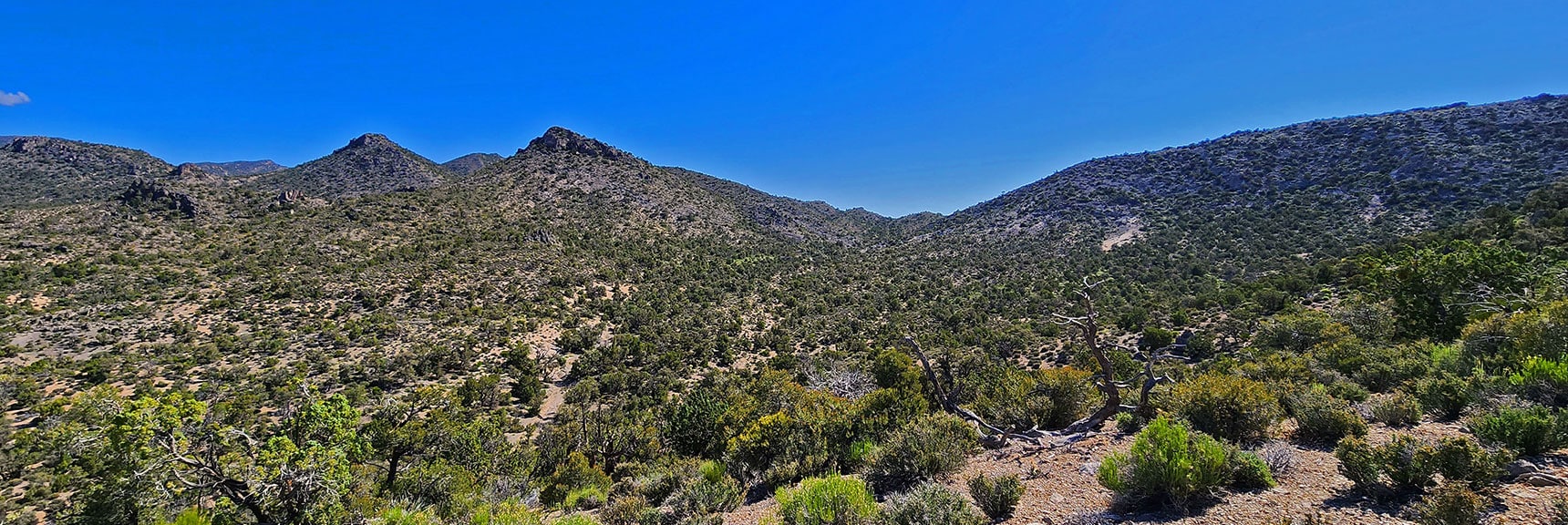 Small Landmark Peaks to the North. North Edge of Wolverine Ridge Ahead | Little Zion | Rainbow Mountain Wilderness, Nevada