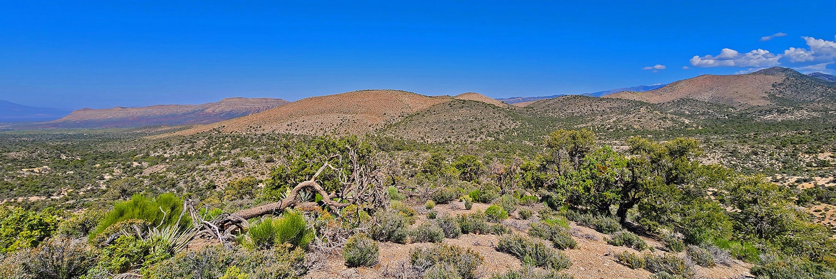 View Down to Landmark Bluff Start/End Point from North Side of Wolverine Ridge | Little Zion | Rainbow Mountain Wilderness, Nevada