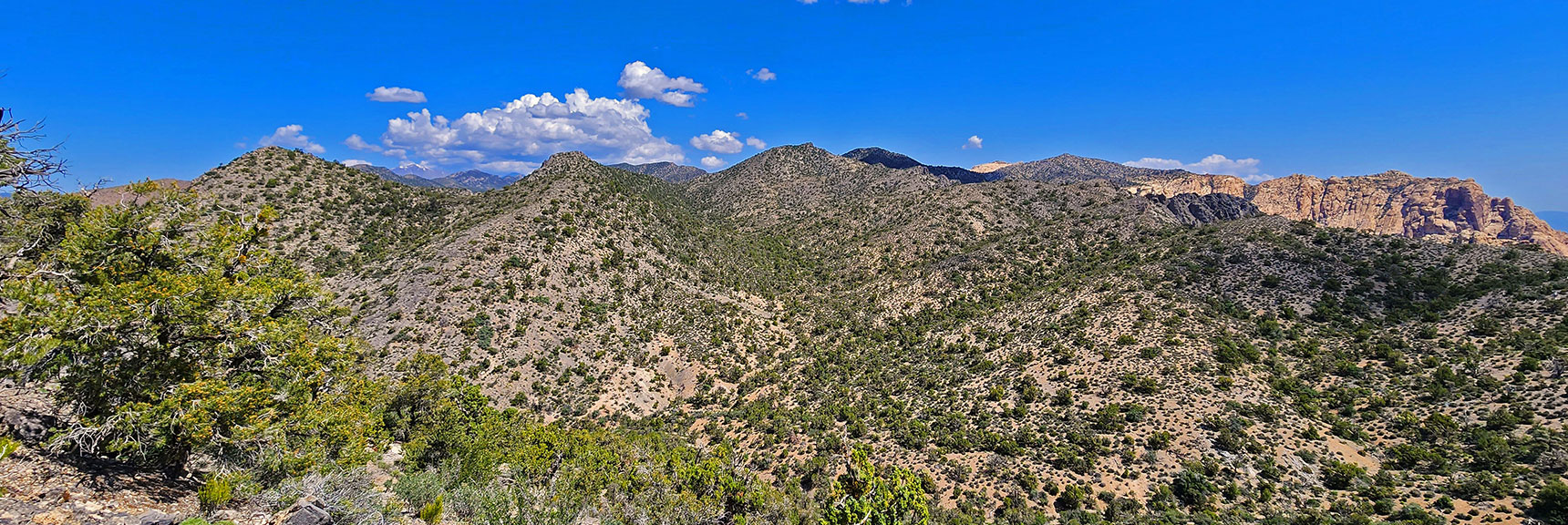 North View While Rounding North Side of Wolverine Ridge. Indecision Peak on Right | Little Zion | Rainbow Mountain Wilderness, Nevada
