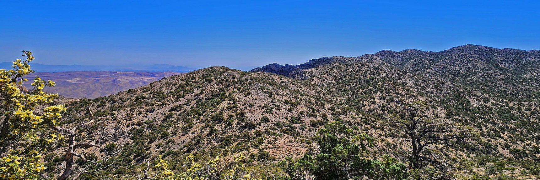 View Across Ridge Saddle to Upper Crest Ridgeline South | Little Zion | Rainbow Mountain Wilderness, Nevada