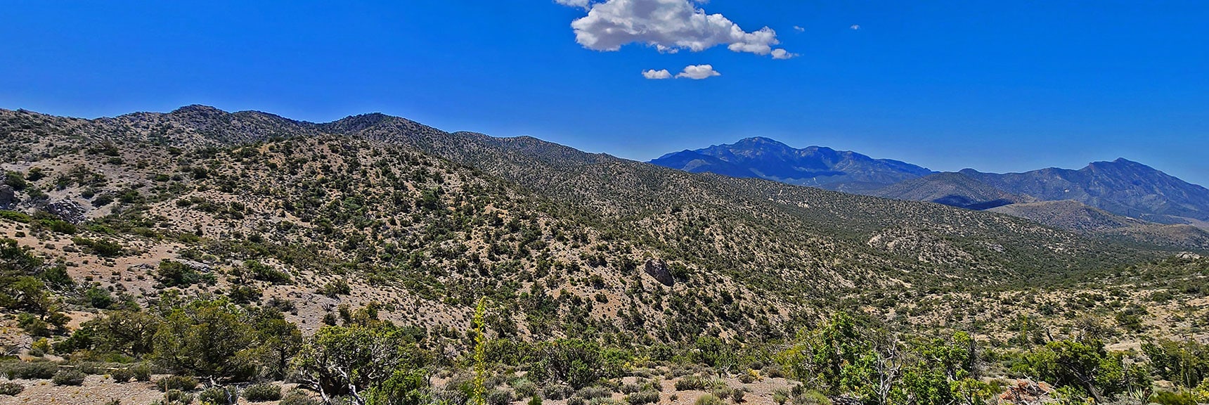 View of Southern Upper Crest Ridgeline to Potosi Mt. from Ridgeline Summit | Little Zion | Rainbow Mountain Wilderness, Nevada