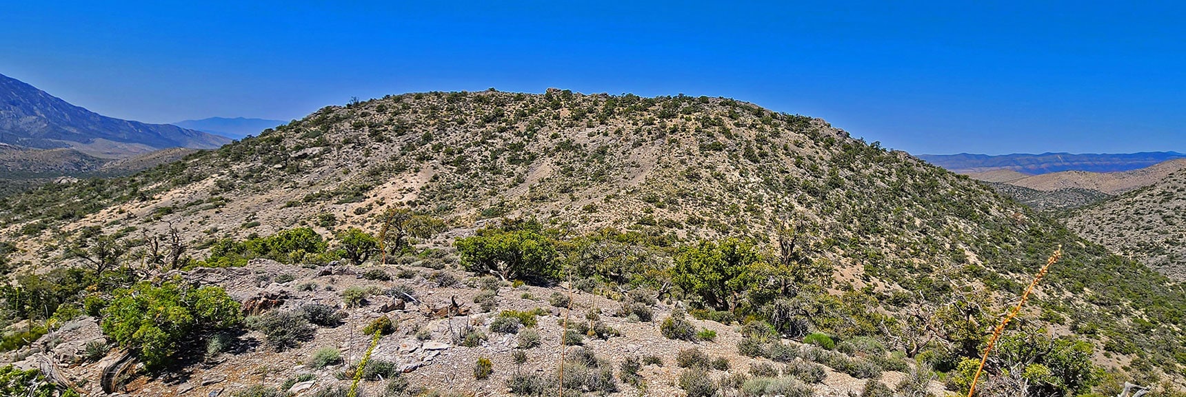 View from Upper Crest Ridgeline Back Across Saddle to Wolverine Ridge | Little Zion | Rainbow Mountain Wilderness, Nevada
