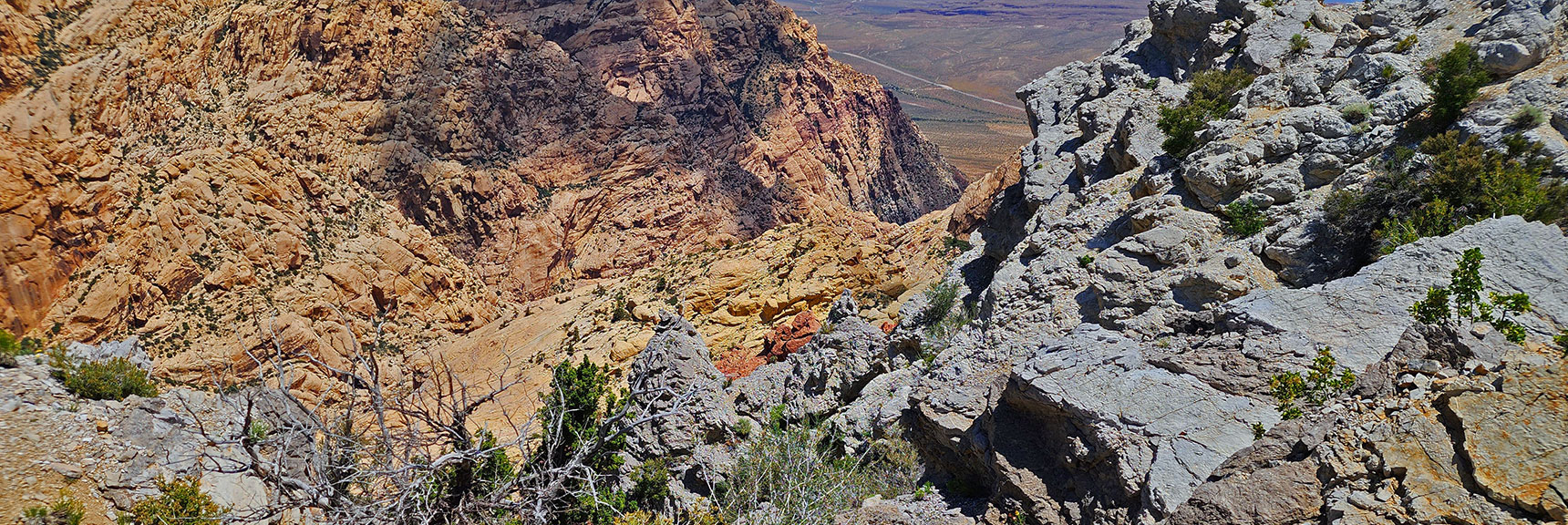 Deep Look into Canyon Below Upper Crest Ridgeline | Little Zion | Rainbow Mountain Wilderness, Nevada