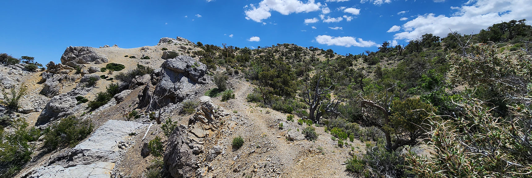 Little Zion Trail Soon to Split Off to the Left (East) from Upper Crest Ridgeline Trail | Little Zion | Rainbow Mountain Wilderness, Nevada