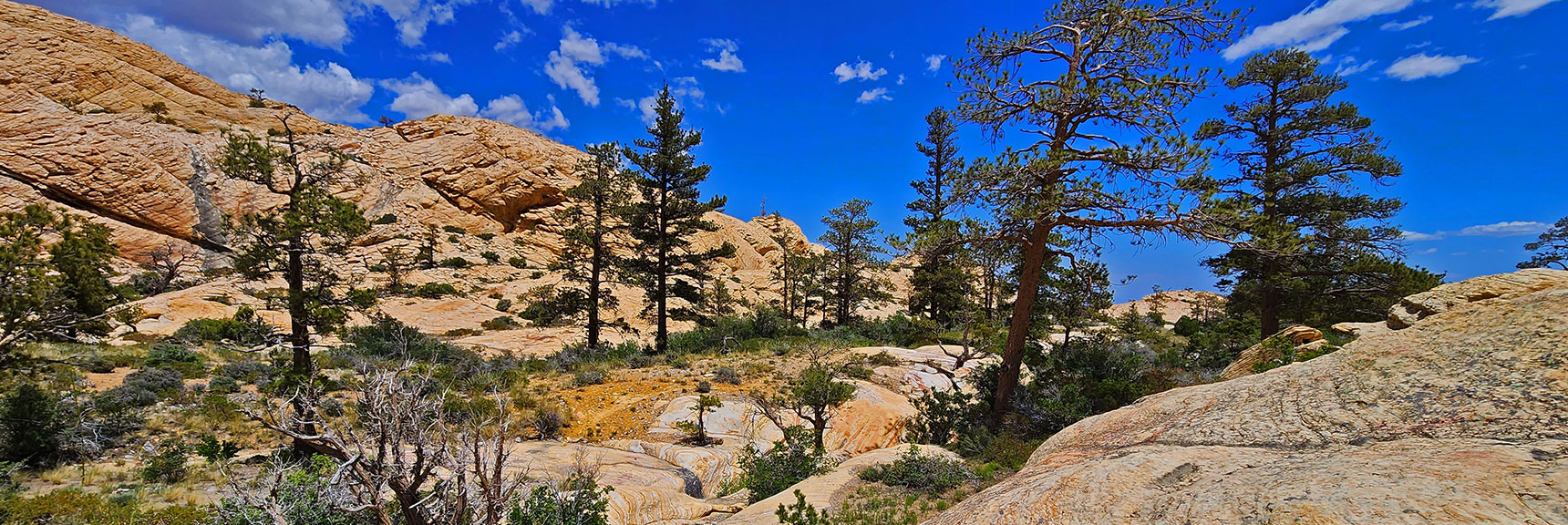 Final Descent into Little Zion | Little Zion | Rainbow Mountain Wilderness, Nevada