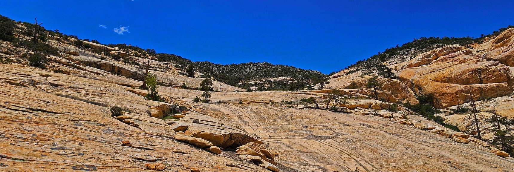 Return Up Sandstone Ledge Toward Upper Crest Ridgeline | Little Zion | Rainbow Mountain Wilderness, Nevada