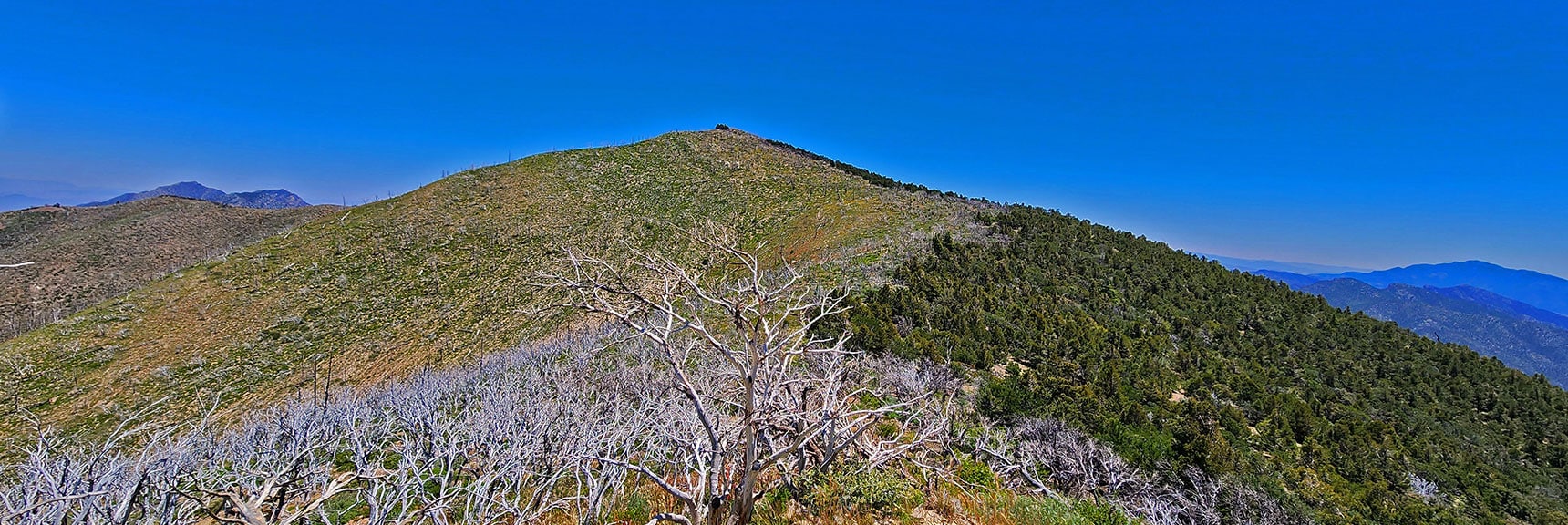 View Across Wilson Ridge To Wilson Ridge South High Point | Wilson Ridge Lovell Canyon Loop | Lovell Canyon, Nevada