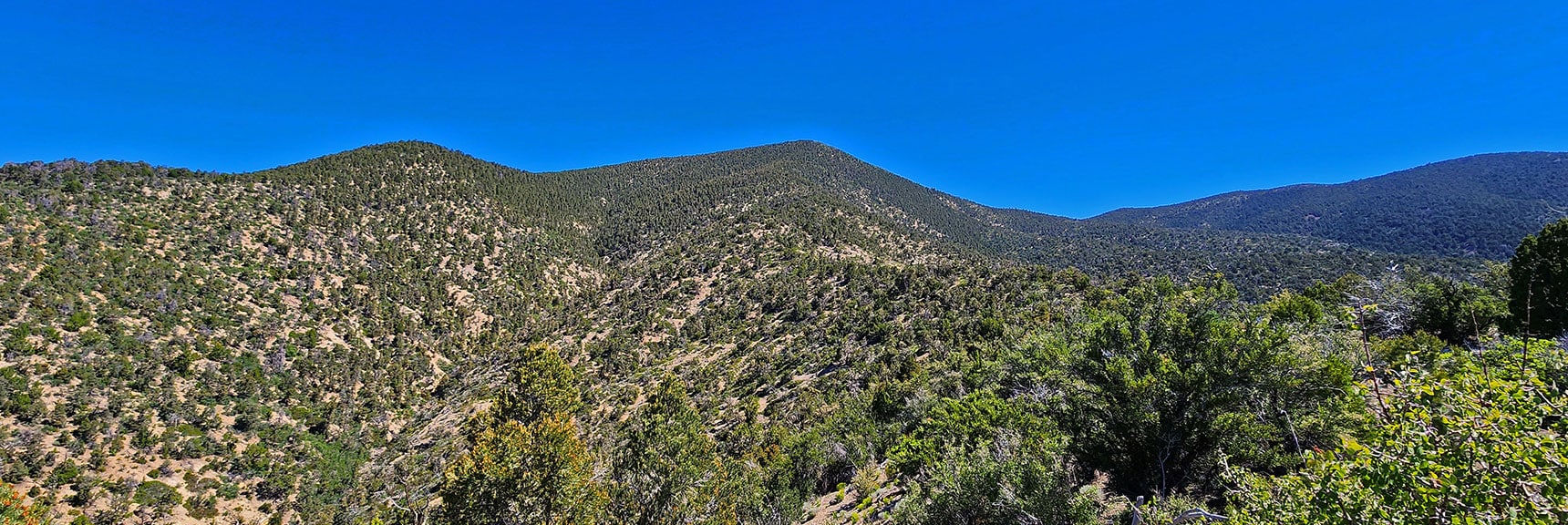 Final Approach to Wilson Ridge South High Point | Wilson Ridge Lovell Canyon Loop | Lovell Canyon, Nevada