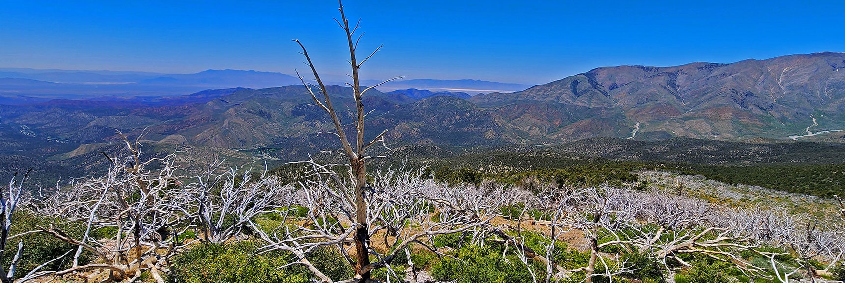 View West Toward Armargosa & Death Valley | Wilson Ridge Lovell Canyon Loop | Lovell Canyon, Nevada
