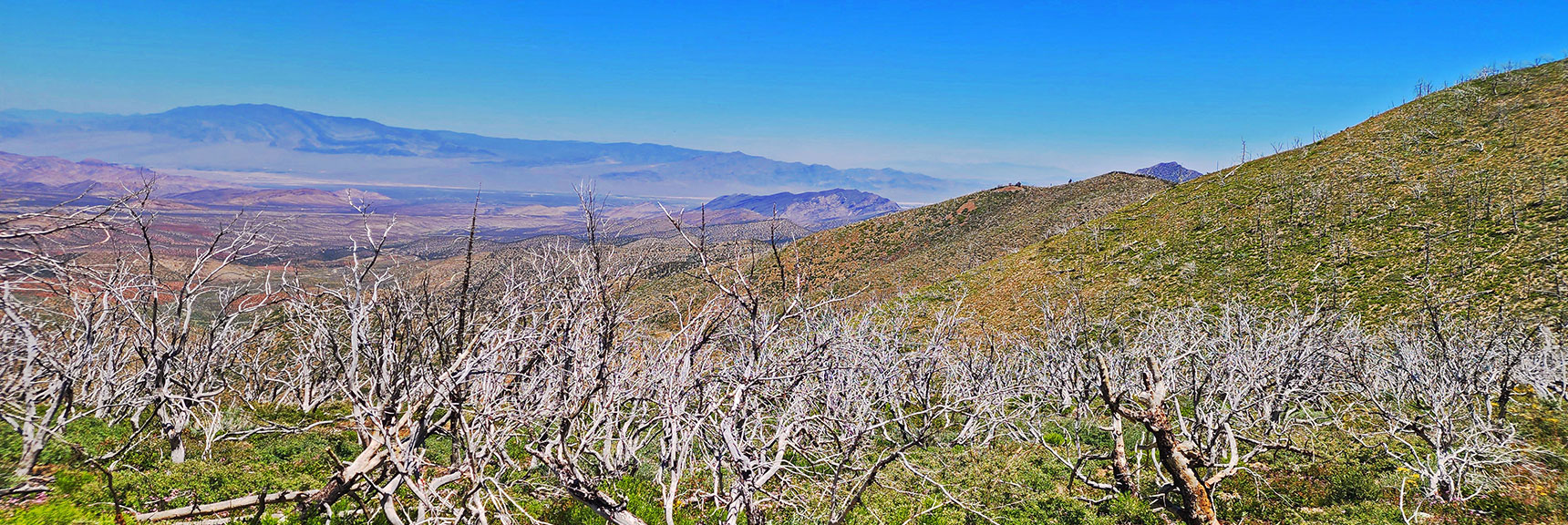 View Northeast Toward Sheep Range and Gass Peak (faint distance) | Wilson Ridge Lovell Canyon Loop | Lovell Canyon, Nevada