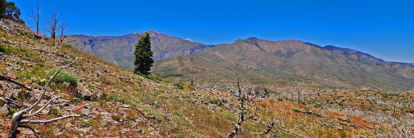 Griffith Peak (left); Wilson Ridge to Harris Mountain (right). | Wilson Ridge Lovell Canyon Loop | Lovell Canyon, Nevada