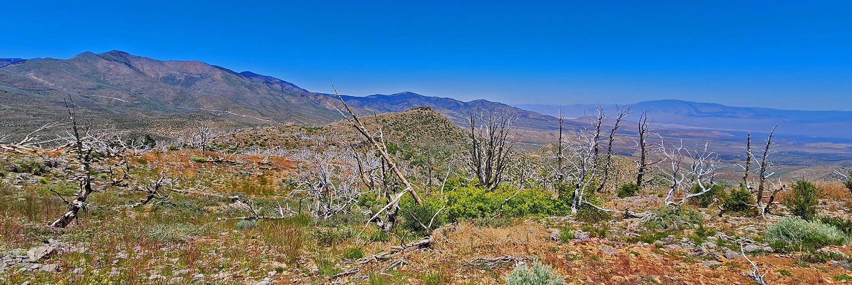 Kyle Canyon Below Toward Faint Sheep Range (right) | Wilson Ridge Lovell Canyon Loop | Lovell Canyon, Nevada