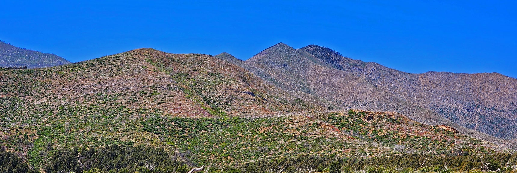 Next Adventure Will Start Here and Continue Toward Harris Mountain | Wilson Ridge Lovell Canyon Loop | Lovell Canyon, Nevada