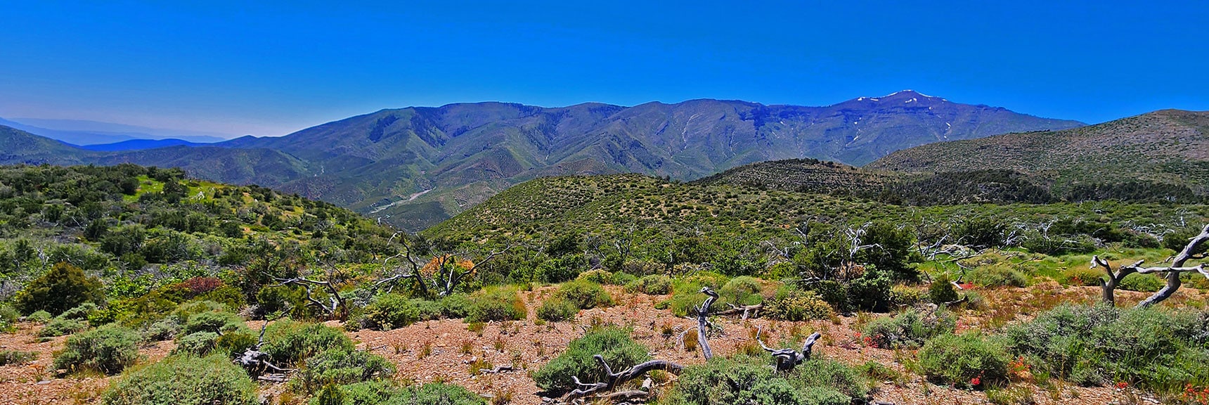 Descent Ridges Toward Lovell Canyon Base | Wilson Ridge Lovell Canyon Loop | Lovell Canyon, Nevada