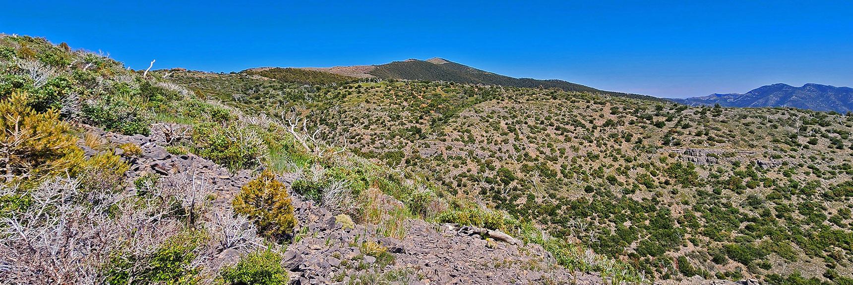 South Descent Ridge Appeared More Gradual. Viewing Upper Ridge. | Wilson Ridge Lovell Canyon Loop | Lovell Canyon, Nevada