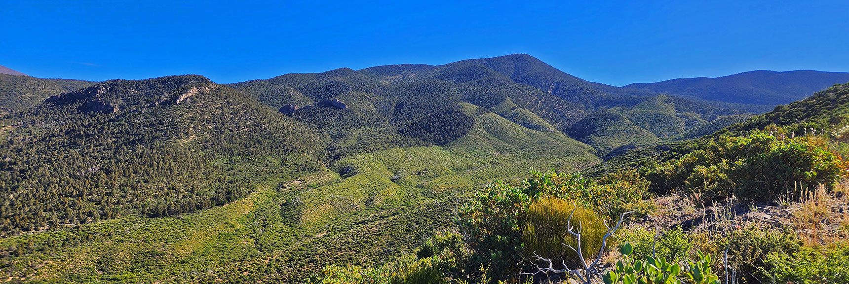 North Brush-Choked Approach Ridge to Wilson Ridge South High Point | Wilson Ridge South High Point | Lovell Canyon, Nevada