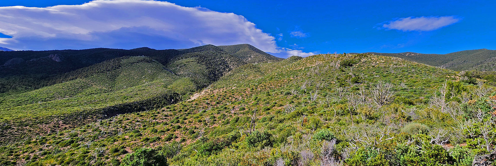 Ascending Approach Ridge Toward Wilson Ridge South High Point. Lower 1/3rd Has Some Brush | Wilson Ridge South High Point | Lovell Canyon, Nevada