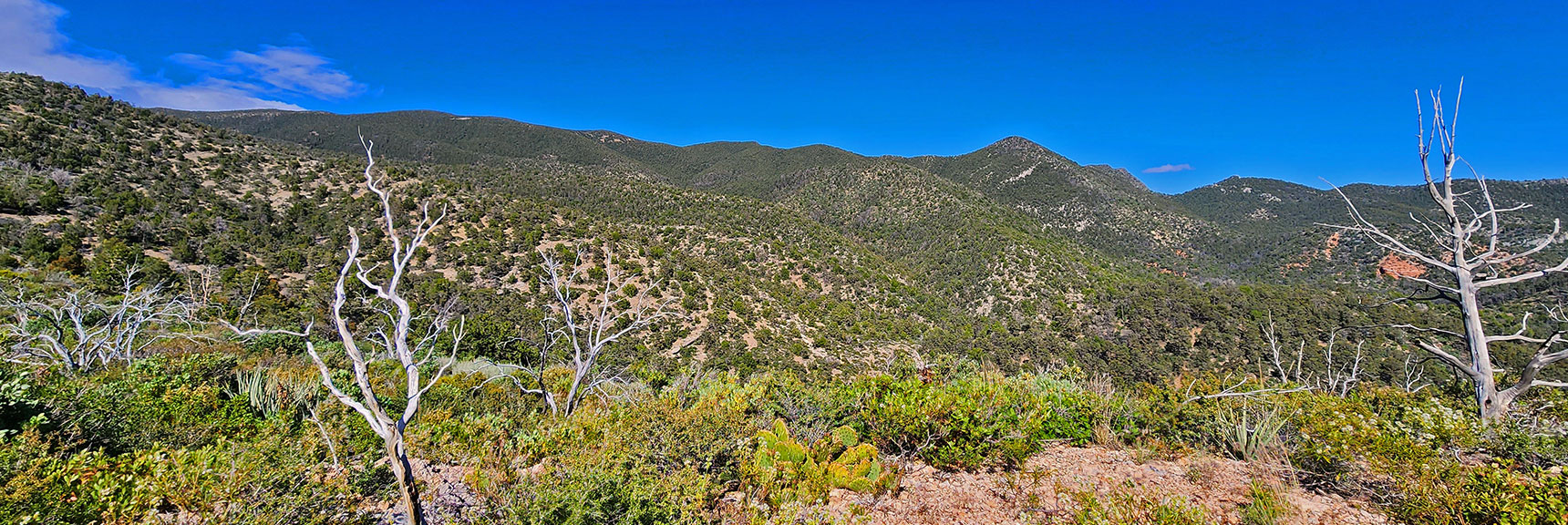 View South Along the Upper Ridgeline | Wilson Ridge South High Point | Lovell Canyon, Nevada