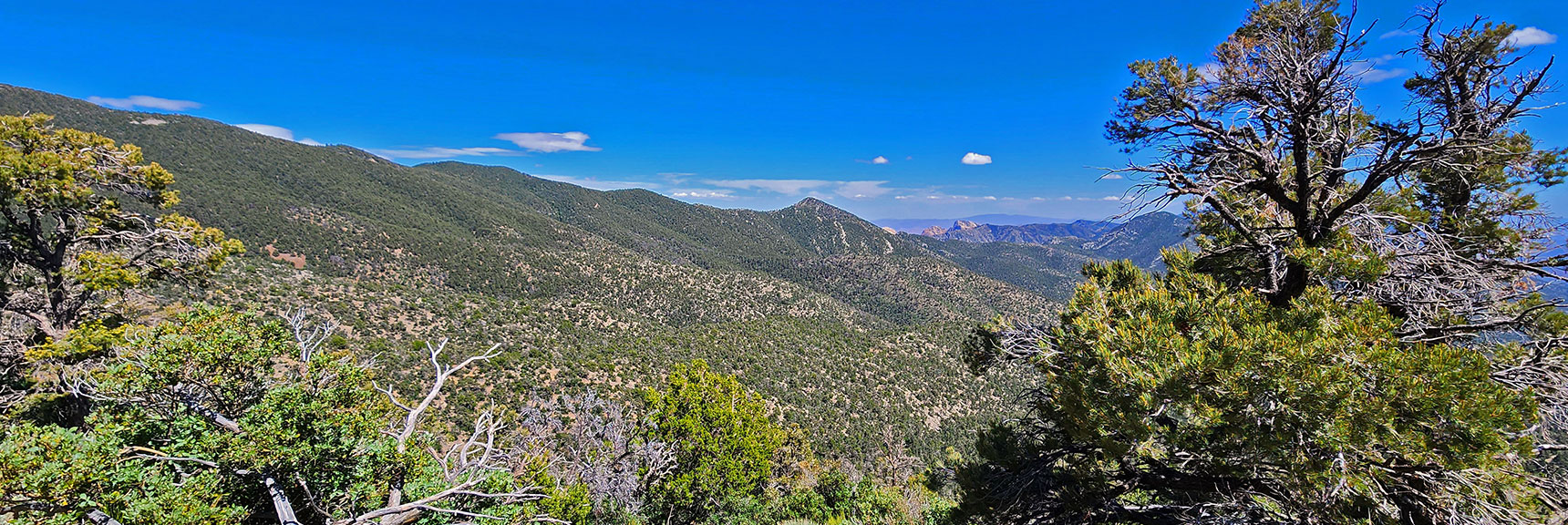 View South of the High Point Along Descending Wilson Ridge. Rainbow Mts. Far Distance. | Wilson Ridge South High Point | Lovell Canyon, Nevada