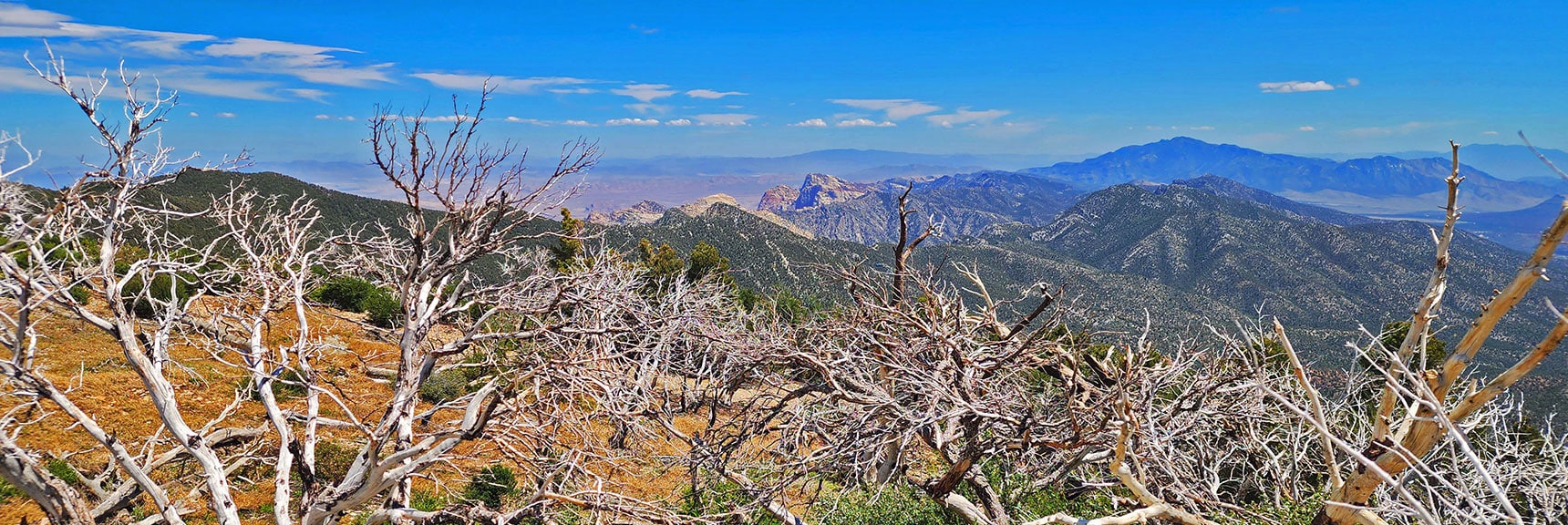 Two Distinct Ridgelines: Wilson Ridge (right); Rainbow Mts. Upper Crest Ridgeline (far left) | Wilson Ridge South High Point | Lovell Canyon, Nevada