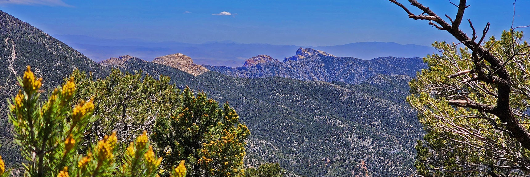 Left to Right: Bridge Mt, Rainbow Mt., Mt. Wilson Bordered by Rainbow Mts. Upper Crest Ridgeline. | Wilson Ridge South High Point | Lovell Canyon, Nevada