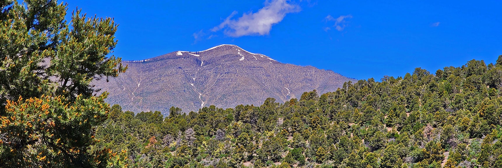 Griffith Peak from Lower North Approach Ridge. | Wilson Ridge South High Point | Lovell Canyon, Nevada